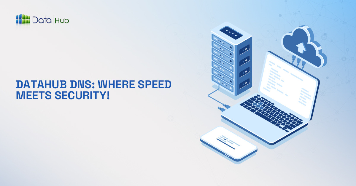DataHub DNS service