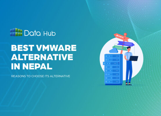 DataHub-Best-Vmware-Alt